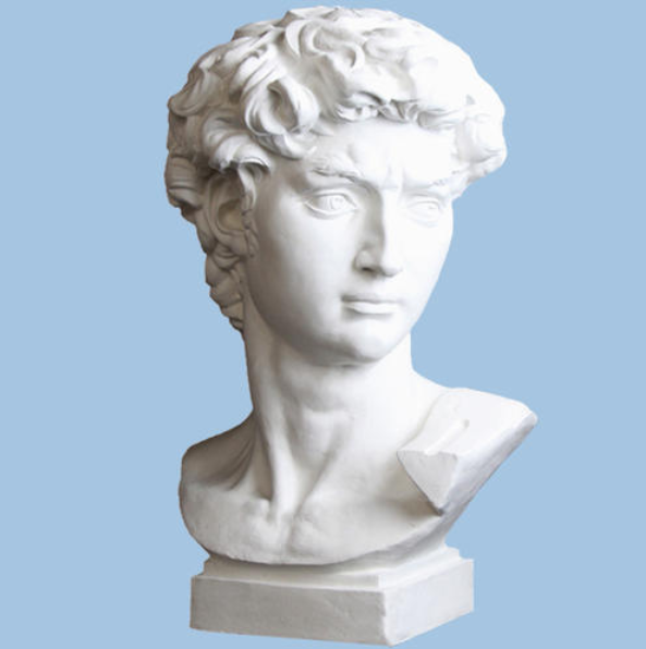 大卫 石膏头像