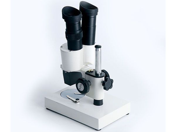 双目立体显微镜