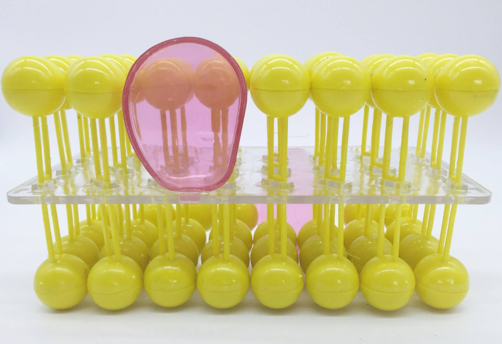 细胞膜流动镶嵌模型组件